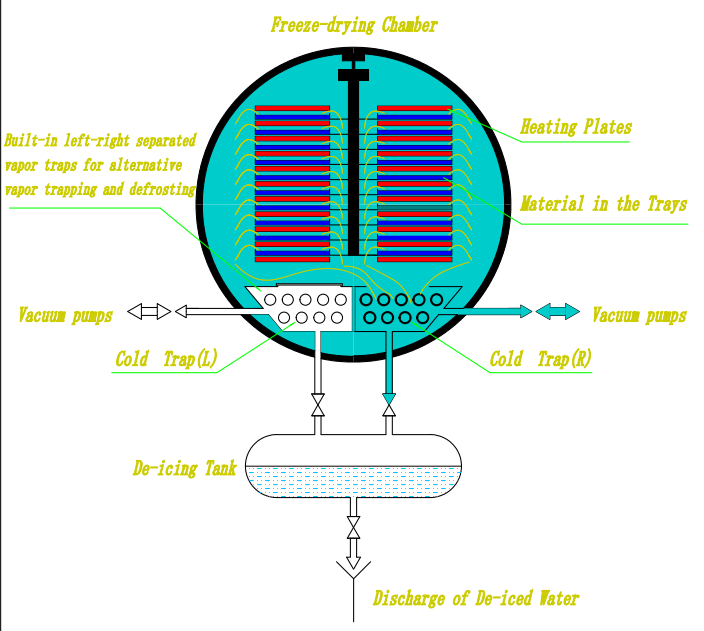 Alternative Vapor Trap Freeze Dry Machine