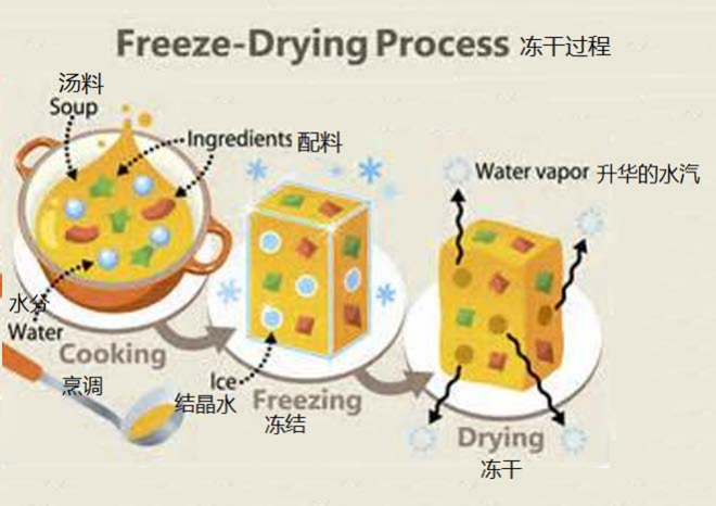 Vacuum freeze dryer to peru Vacuum freeze dryer to peru