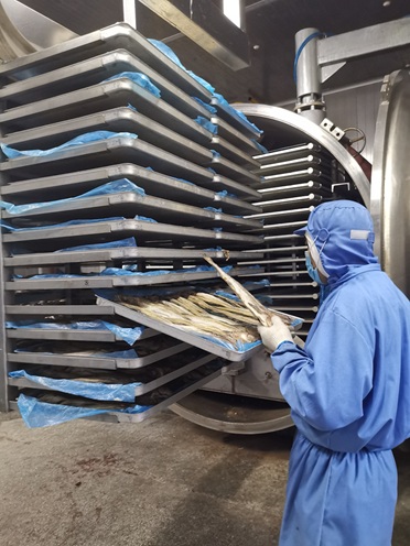 Seafood Large Batch Vacuum Dryer
