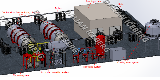 Coffee freeze dryer Coffee freeze dryer