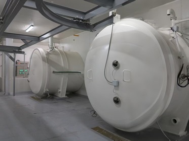 Seasoning Batch Vacuum Freeze Dryer