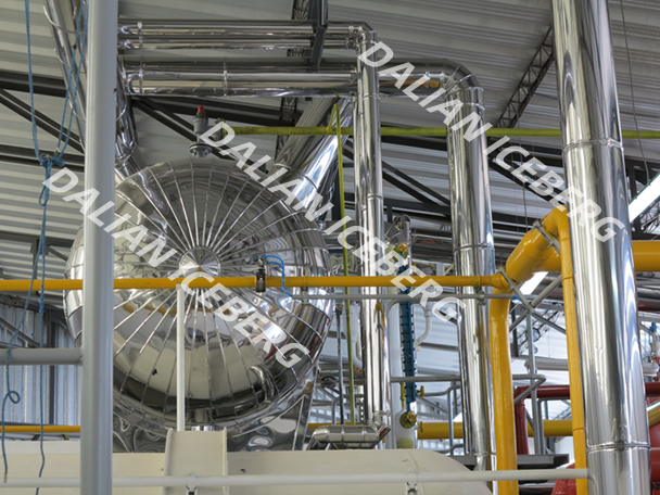 Batch Freeze Dryer To Peru