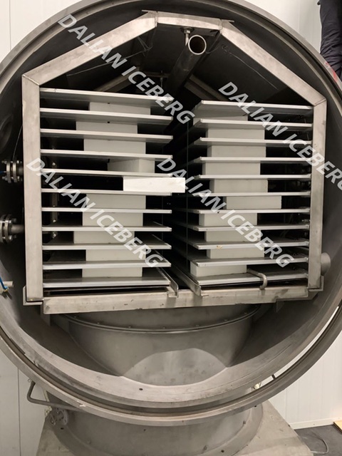 Batch Vacuum Freeze Dryer To Ukraine