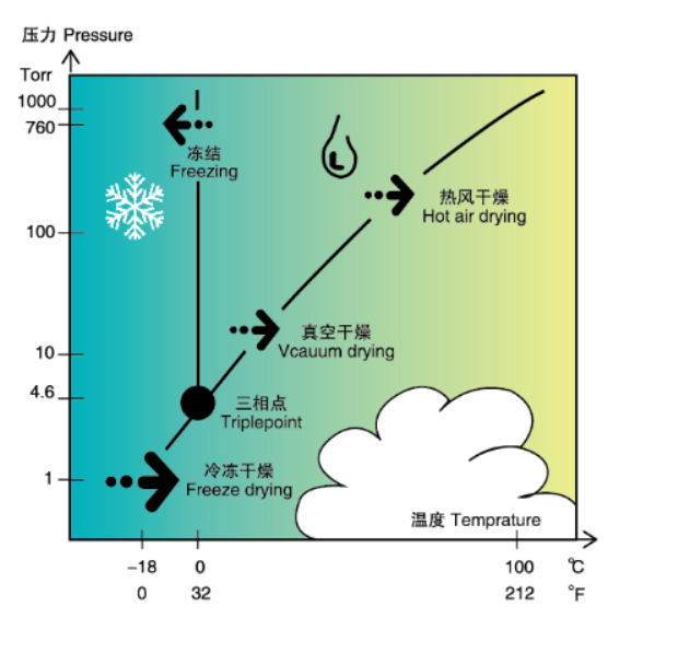 pilot plant freeze dryer pilot plant freeze dryer
