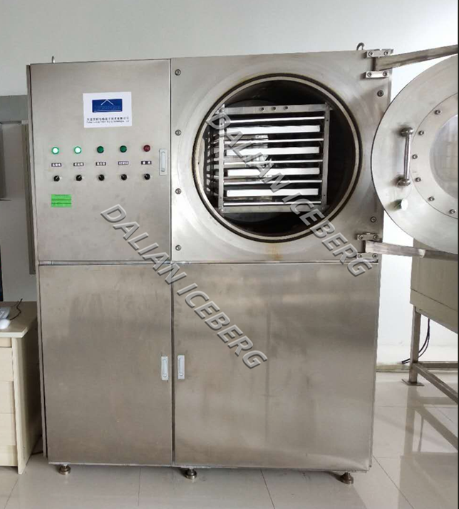 11kgs pilot plant freeze drying equipment
