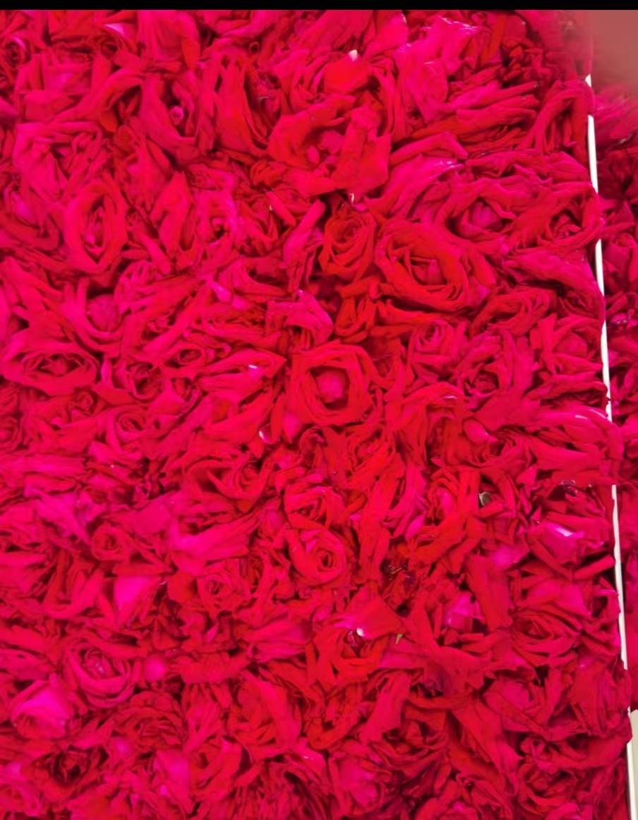 0.25㎡ Small freeze dryer