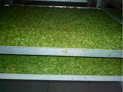 0.25㎡ Small freeze dryer