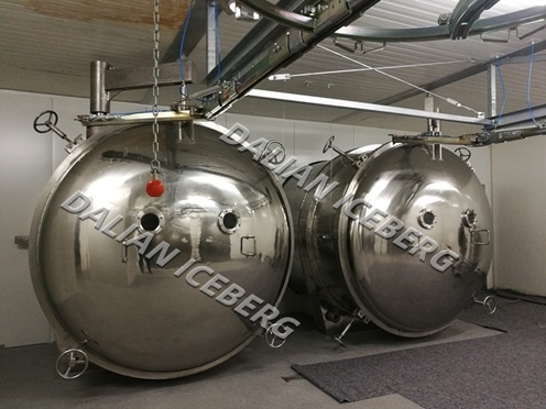 Batch Vacuum Freeze Dryer To Germany