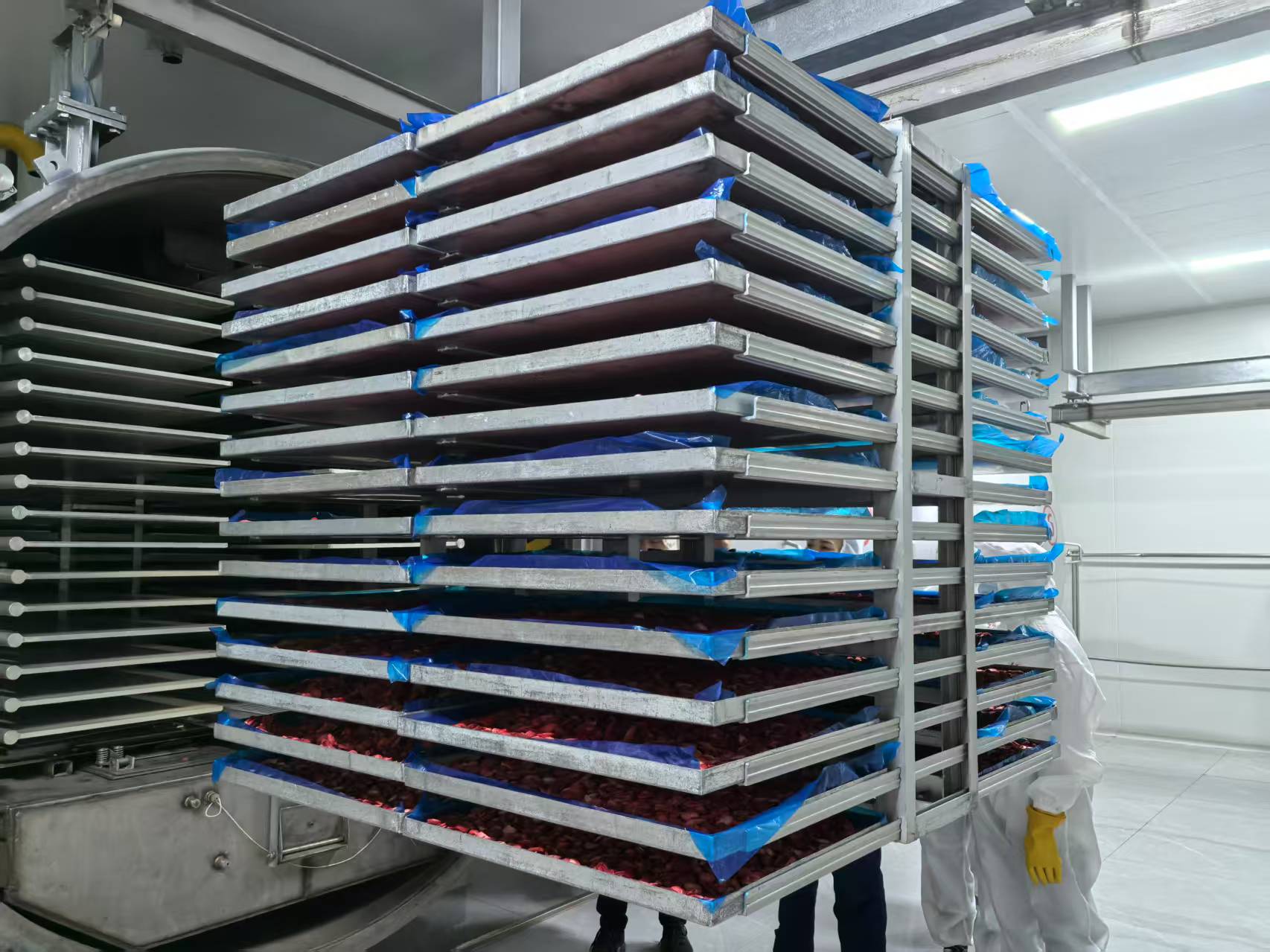 75m² Industry Vacuum Freeze Drying Equipment