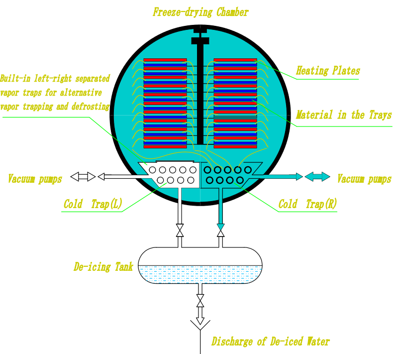 100㎡ Vacuum lyophilizer 100㎡ Vacuum lyophilizer