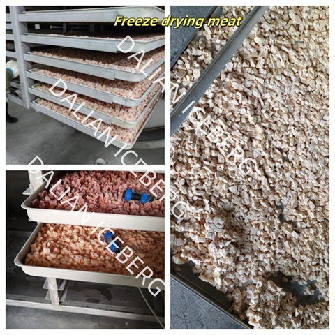 50㎡ middle Vacuum Freeze Dryer