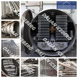 Batch Commercial Vacuum Freeze Drying Machine