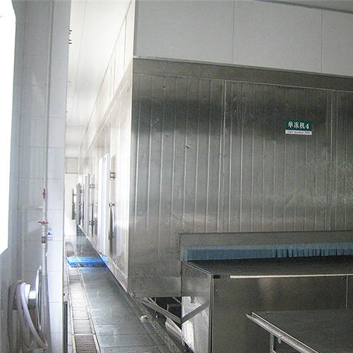 Sea food IQF Machine