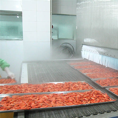Sea food IQF Machine