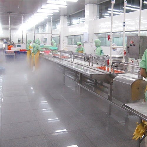 Sea food IQF Machine