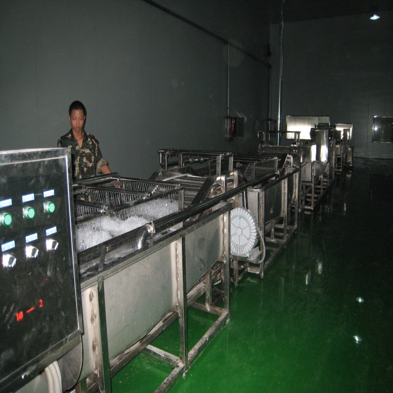 Vegetable washing blanching Processing Machine