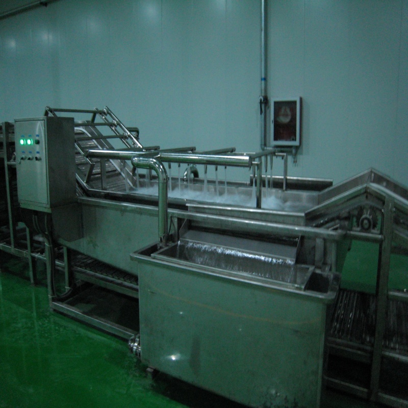 Food washing Elevating cooling Processing Machine