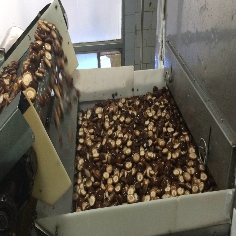 vegetable processing machine vegetable processing machine