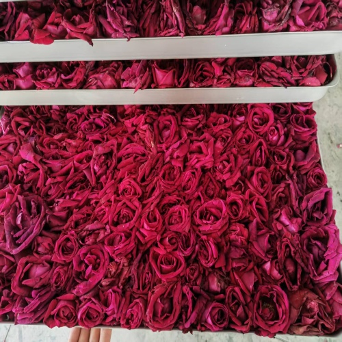 2400kgs freeze dried rose 2400kgs freeze dried rose