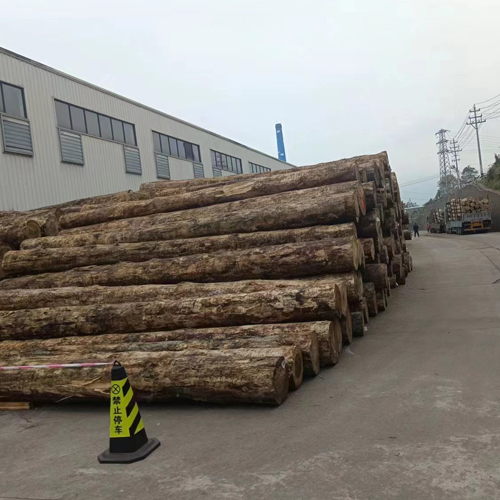 Environmental Protection Measures