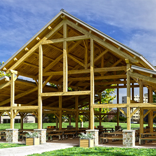 Our Commitment to Consumers: Responsibility Through Quality and Trust