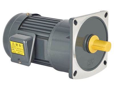 AC 110V/220V/380V Gear Reduction Electric Motor