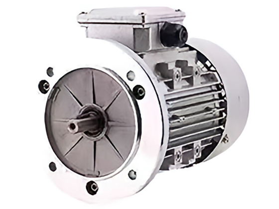 محرك كهربائي عمودي ذو شفة كبيرة B5