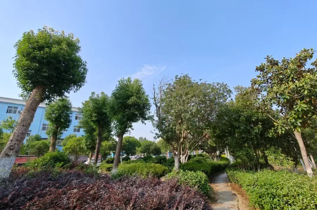 chengli
