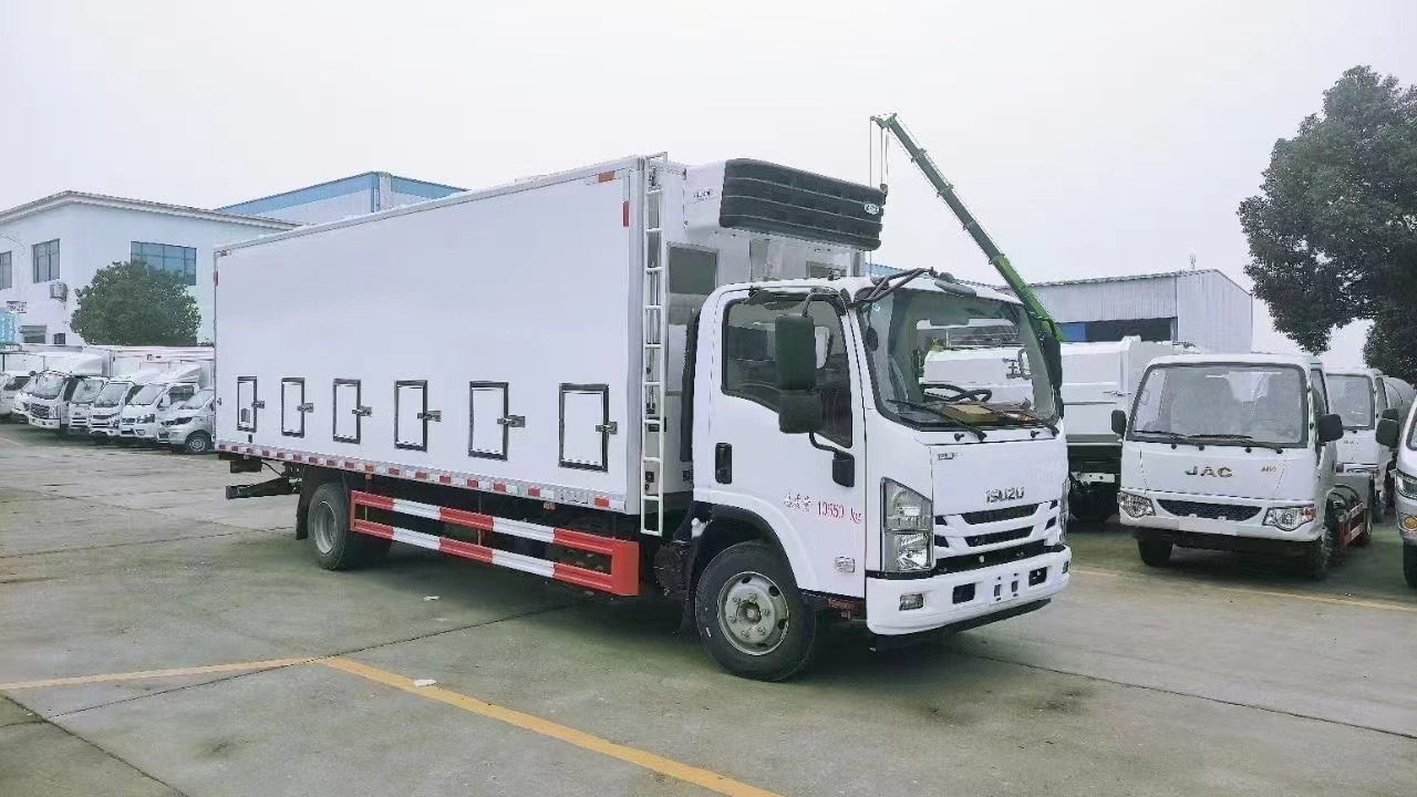 ISUZU poultry day old chicks truck 50000 capacity for sale