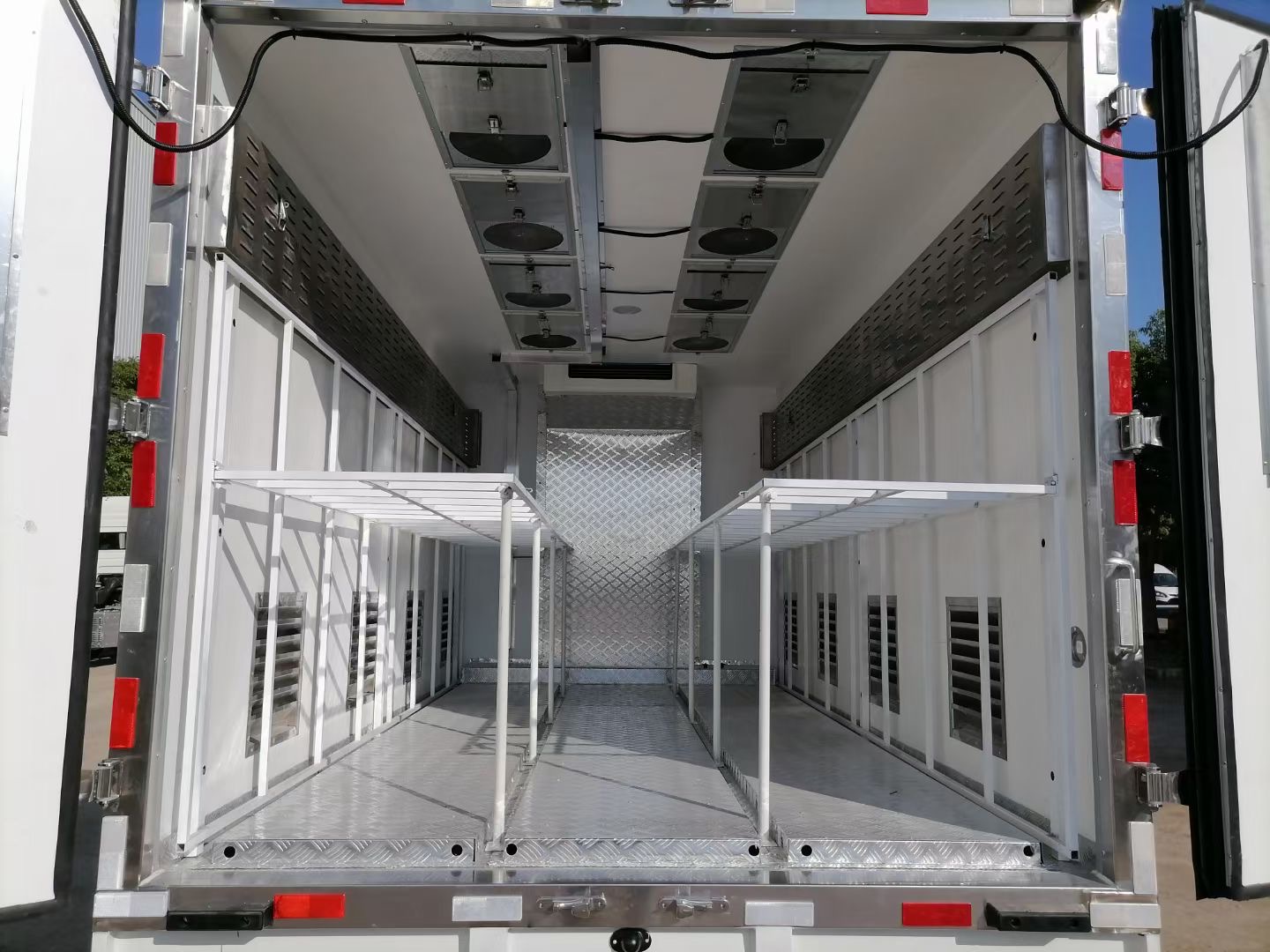 20000 capacity ISUZU day old chicks transported truck for sale