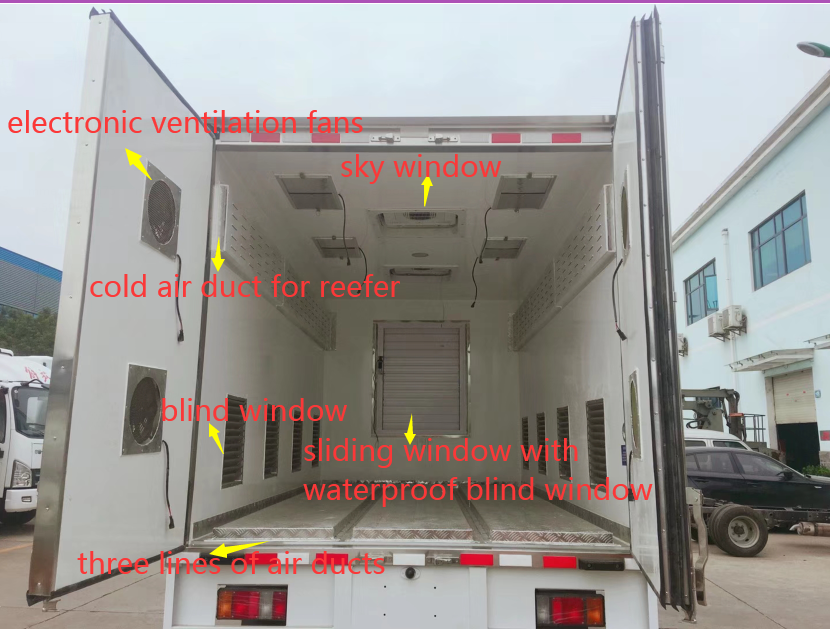 day old chicks transported truck