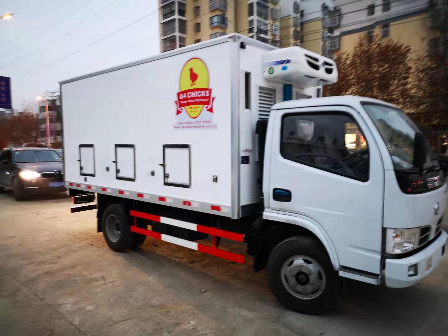poultry chicks truck