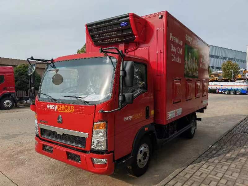 day old broilers transported truck