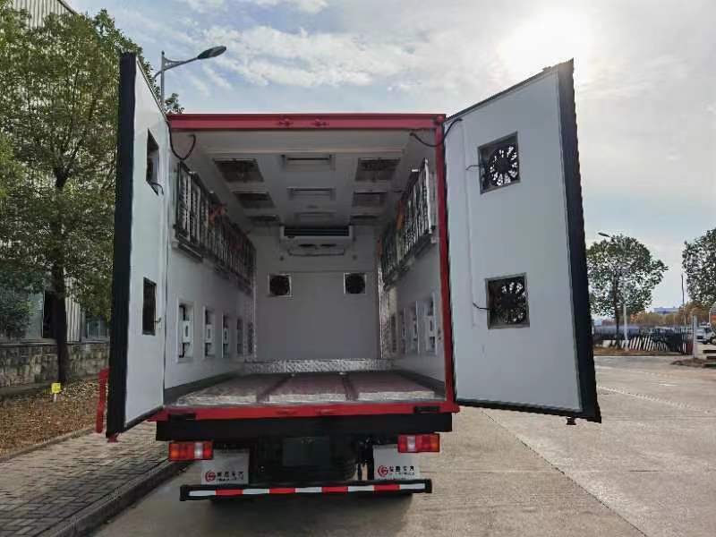 day old birds transported truck