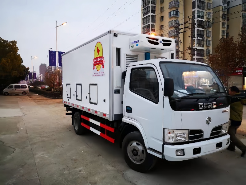 dongfeng small poultry day old chick transported truck for sale