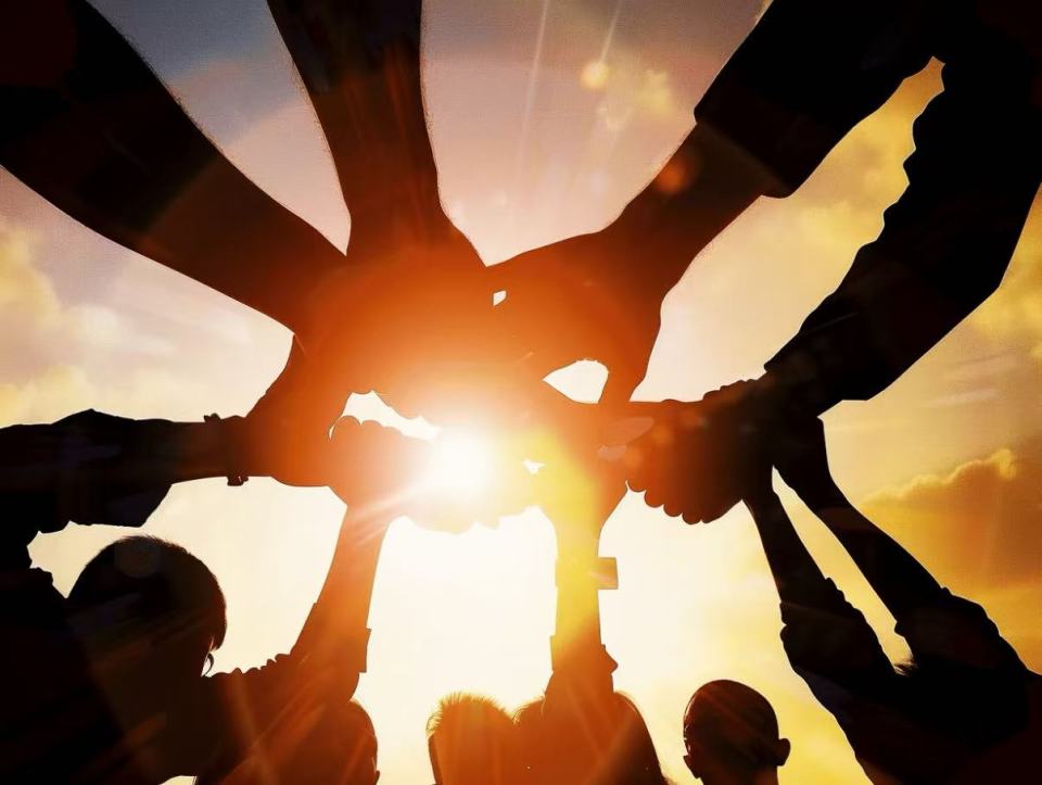 Actividades de formación de equipos de la empresa