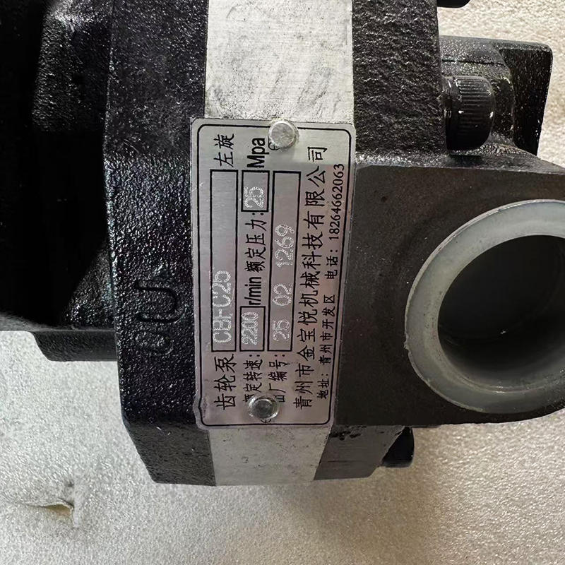 Construction Machinery Travel Pump