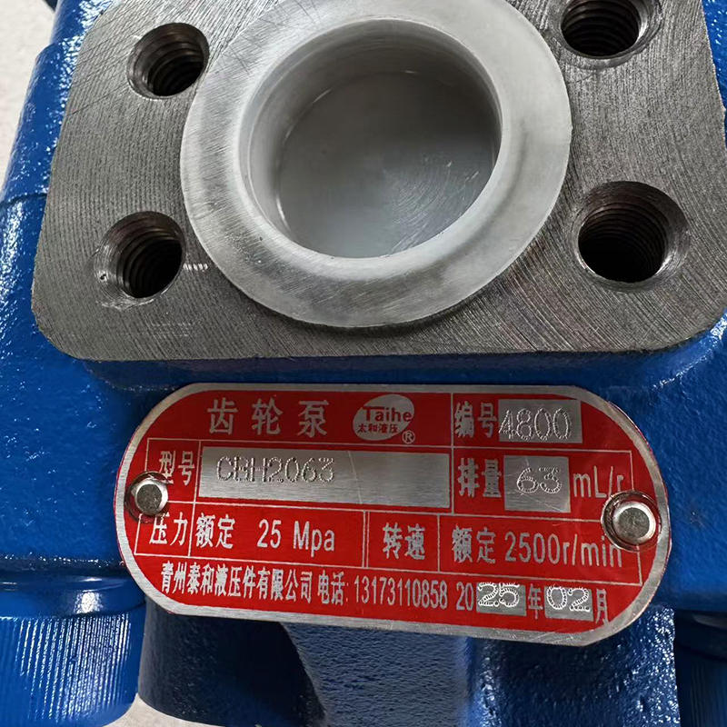 Construction Machinery Work Pump