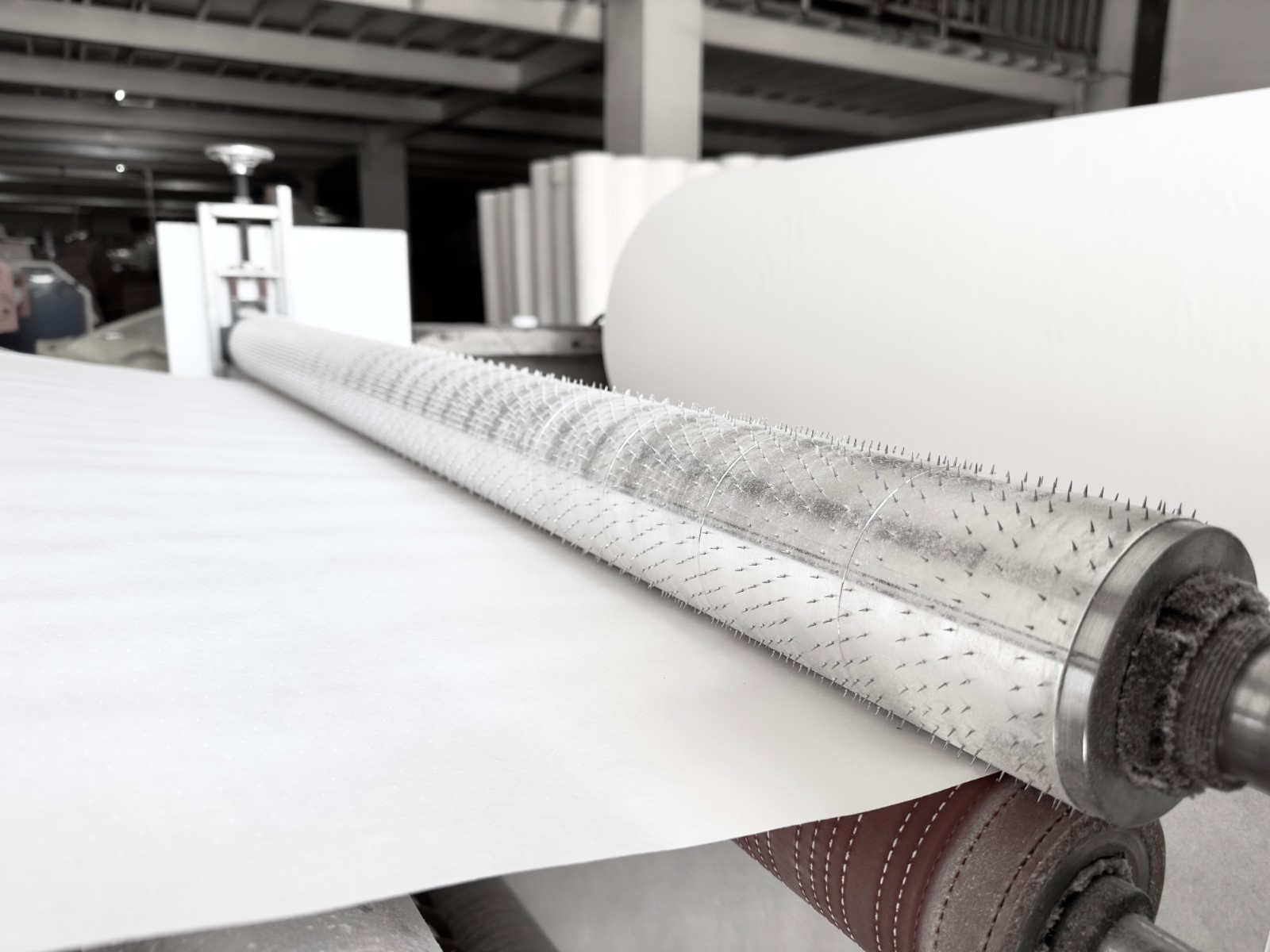 IMG_0349 2.jpg IMG_0349 2.jpg