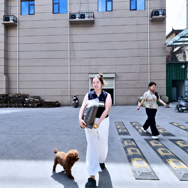 Industrial factory abused stray animal rescue