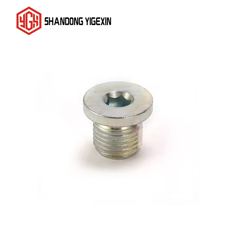 4BN-WD BSP Male Captive Seal Hollow Hex Plug