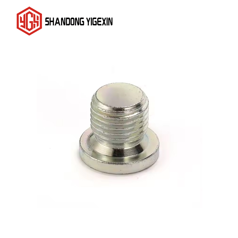 4BN-WD BSP Male Captive Seal Hollow Hex Plug