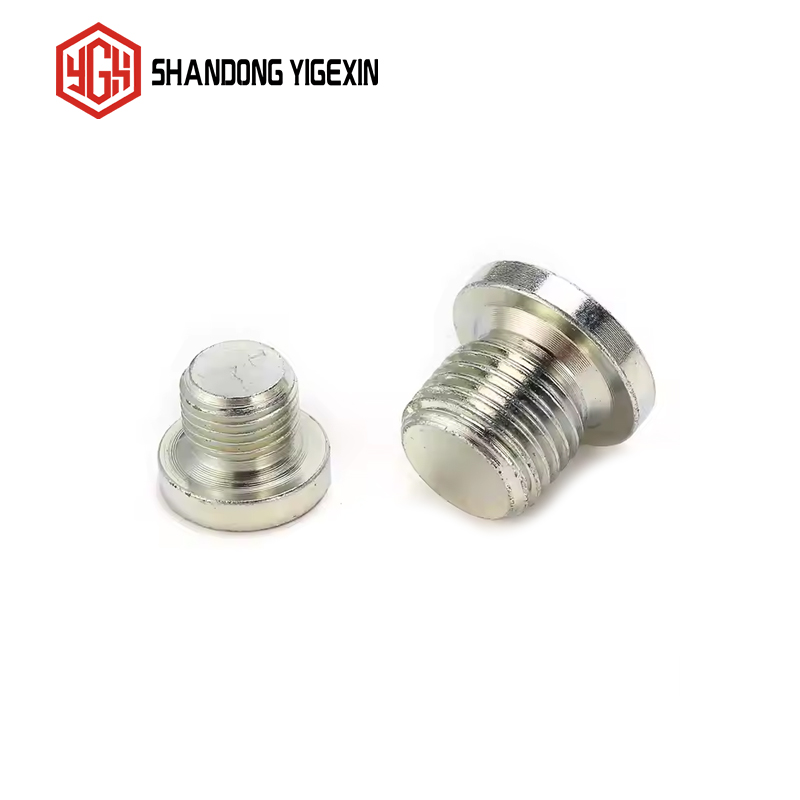 4BN-WD BSP Male Captive Seal Hollow Hex Plug