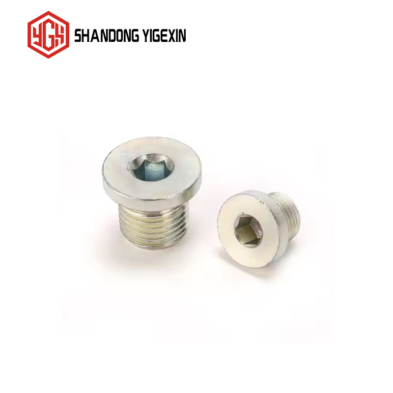 4BN-WD BSP Male Captive Seal Hollow Hex Plug