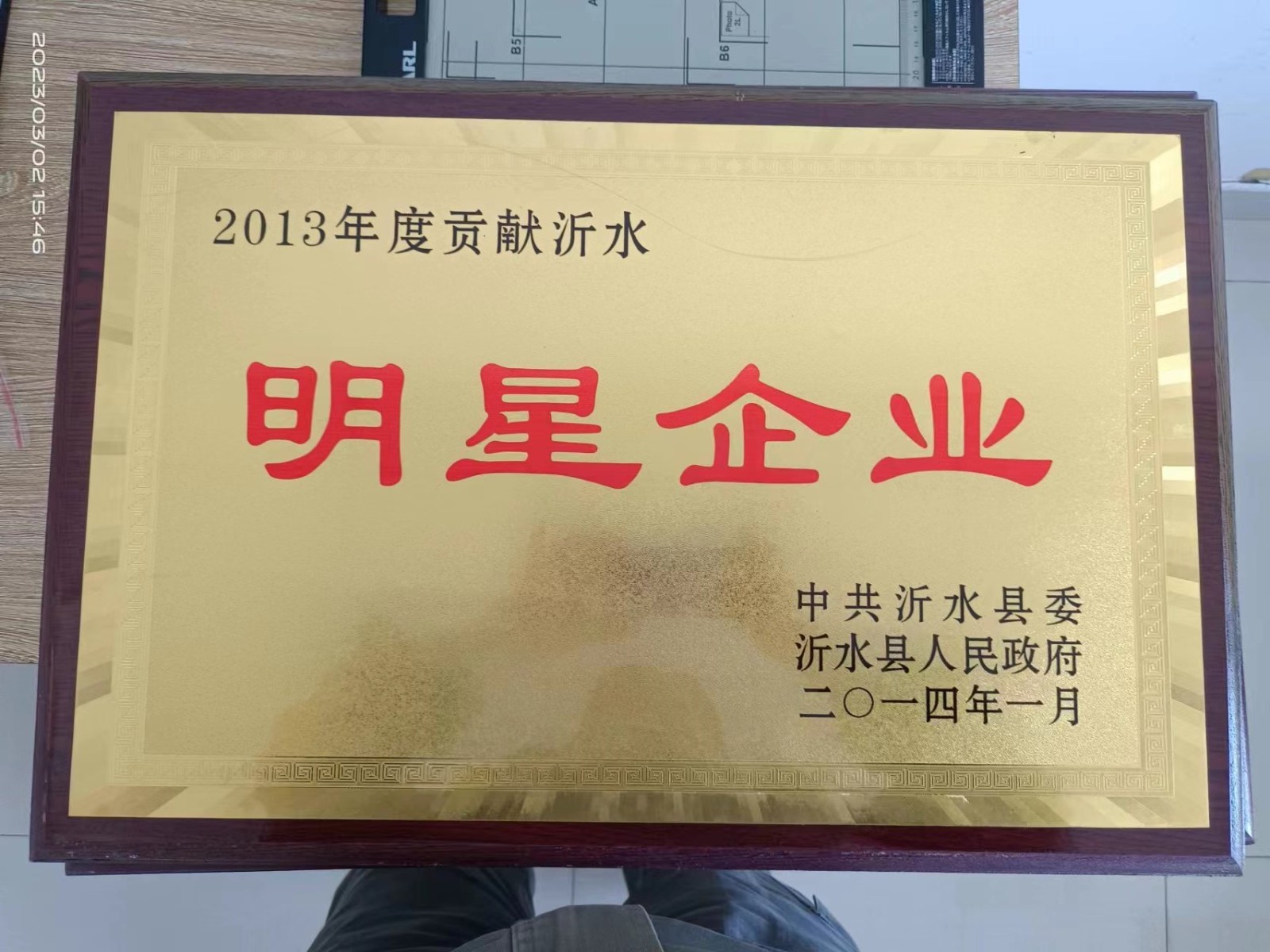 Cyclopentyl Methyl Ether Plasticizer