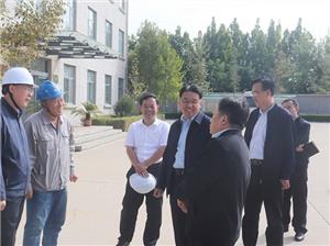 2024.10.1 O magistrado do condado Liu Ming veio à empresa para investigação