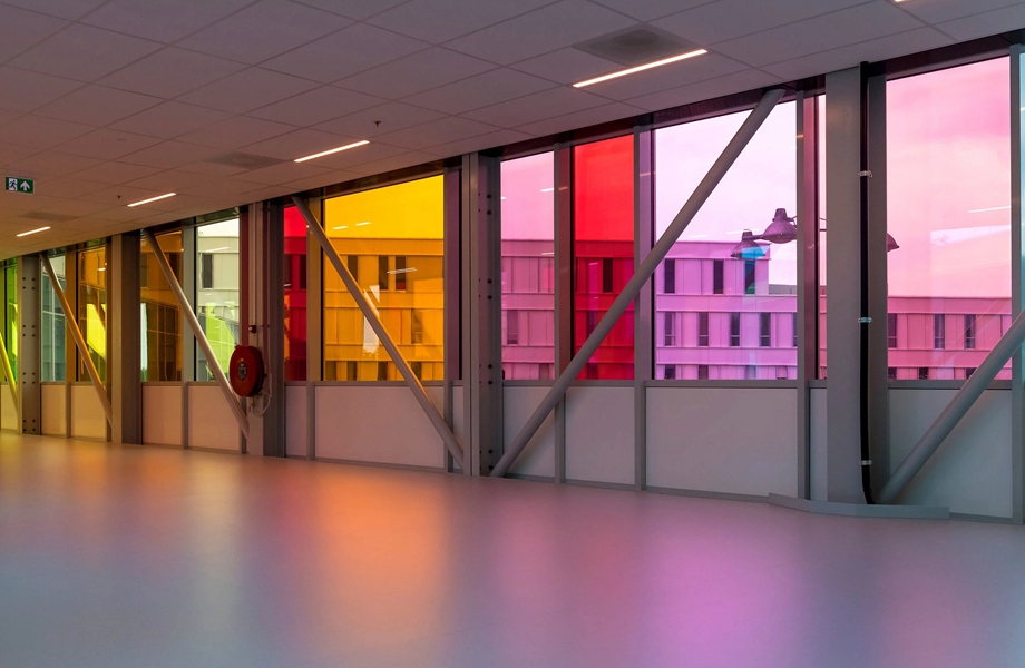 tinted glass supplier