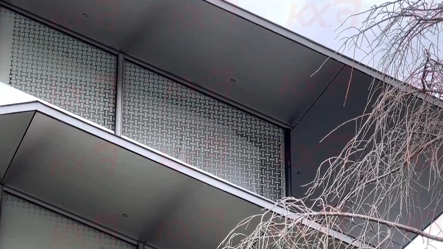 Kunxing Glass ---- Dot Effect Printing Glass Wall