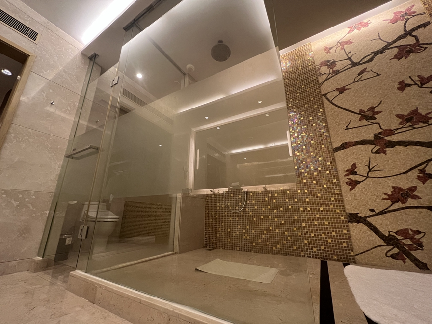 Hotel shower room door