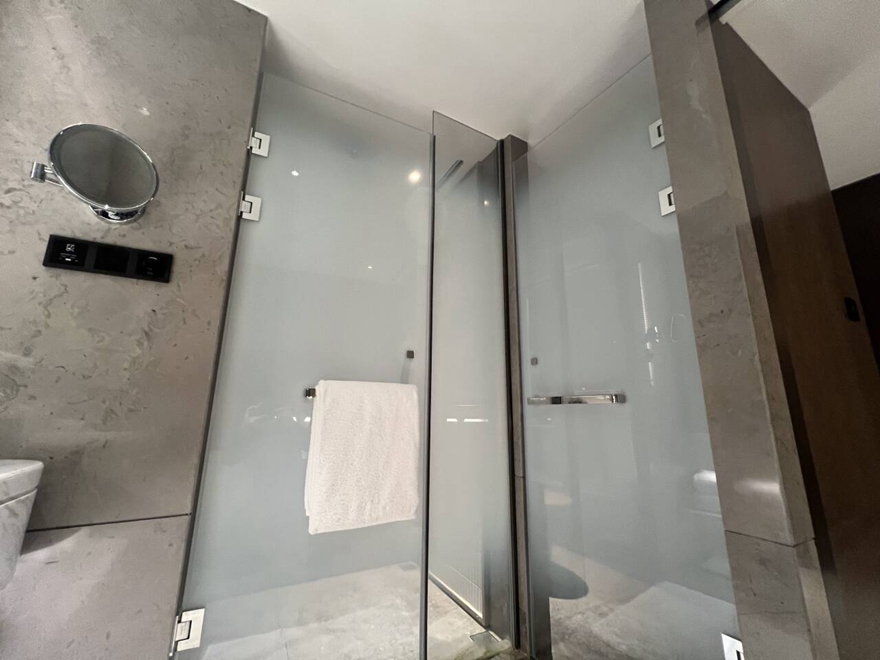 Frameless glass shower